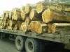 Richly Gather Ghana Ltd Richly Gather Ghana Ltd