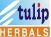 Tulip Herbals