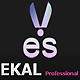 Ekalprofessional@Gmail.Com