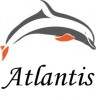 Atlantis Industries And Exports