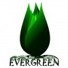 Evergreen Products And Services